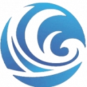 Wave Executor logo