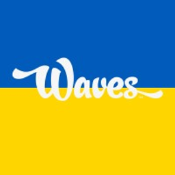 Waves Car Wash logo