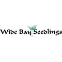 Wide Bay Seedlings logo