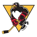 Wilkes Barre/Scranton Penguins logo