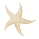Westminster Canterbury on Chesapeake Bay logo