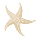 Westminster-Canterbury on Chesapeake Bay