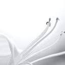 WDF Aesthetic Plastic Surgery logo