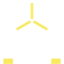 Wolin Design Group logo