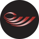 Wealthpartners Financial Solutions logo