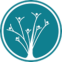 Senior Advocates for Generational Equity logo