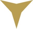 We Are Star   Luxury Digital Solutions logo