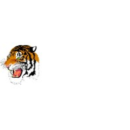 Webster High logo