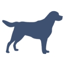 Webster Equity Partners logo