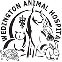 Wedington Animal Hospital