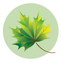 WELD COMMUNITY FOUNDATION logo