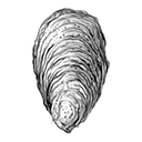 Wellfleet Shellfish Co logo