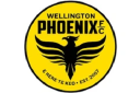 wellingtonphoenixhub.com logo