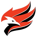 Wellman Dynamics Corporation logo