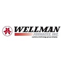 Wellman Furnaces, Inc. logo
