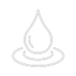 Wellness Club 365 logo
