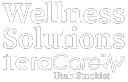 wellnesssolutions4all.com logo