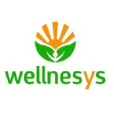 Wellnesys logo