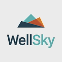 WellSky Corporation logo