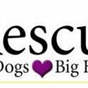 We Love Doodles logo