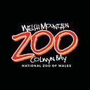 Welsh Mountain Zoo   National Zoo Of Wales logo