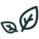 Favicon of Wender Plant