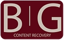 Back In The Game (B.I.G.) Content Recovery logo