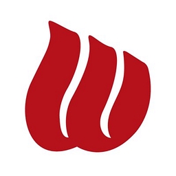 WP