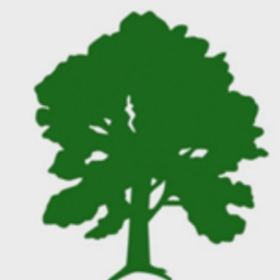avatar logo