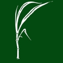 West Baton Rouge Museum logo