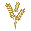 West Development logo