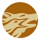 Western Copper And Gold logo