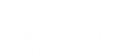 West Wales Properties logo