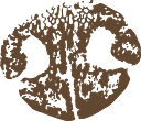 Wet Noses, Inc. logo