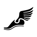 Racing Systems Inc. logo