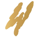 Favicon of Wet Leg