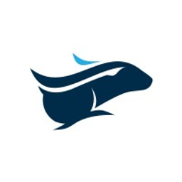 Wet Rabbit Express Car Wash logo