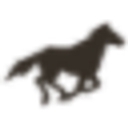 Westen Express, Inc logo