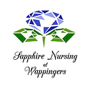 Sapphire Nursing at Wappingers logo