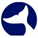 Whale Microelectronics Co.