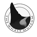 The Whale Museum logo