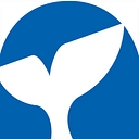 Favicon of Whales of Iceland Museum
