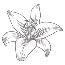 Whatkitchen.Com logo