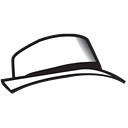 Wallace H Coulter Foundation logo