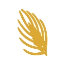 Wheatstone Corporation logo