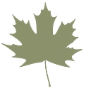 Wheeland Lumber Co logo