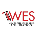 WHEN EVERYONE SURVIVES FOUNDATION INC logo