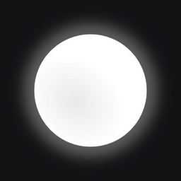 White Circle logo