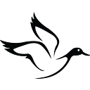 White Duck Outdoors logo