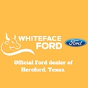 Whiteface Ford
